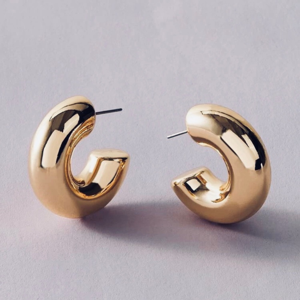 Chunky hoops earrings